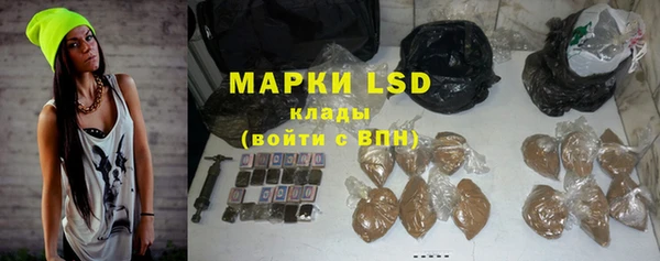 прущие грибы Новокубанск