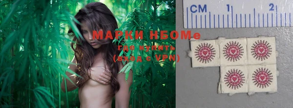СК Болохово