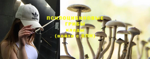 марки nbome Новодвинск