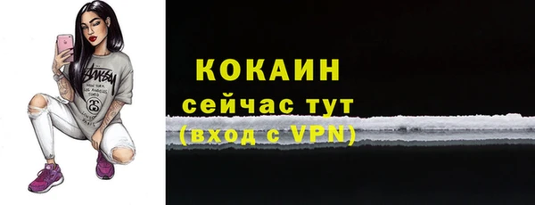 дмт Новозыбков