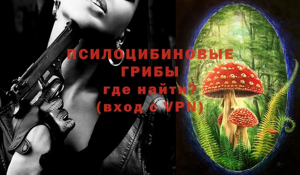 прущие грибы Новокубанск