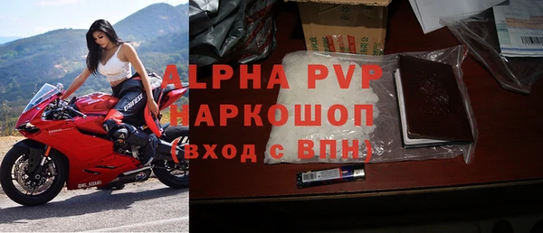прущие грибы Новокубанск