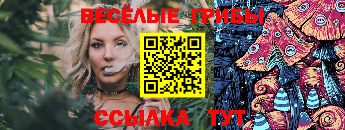 Усть-Лабинск  Галлюциногенные грибы прущие грибы  Вход с VPN 